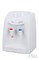 Настольный кулер для воды Ecotronic K12-TE White