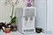 Настольный пурифайер Ecotronic V11-U4T White Настольный пурифайер Ecotronic V11-U4T White